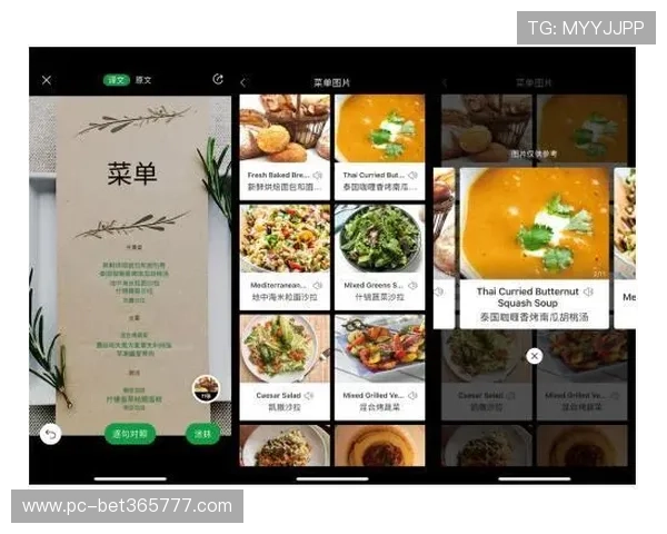 专业分析365下注官网的最新优惠活动与会员福利详情解析