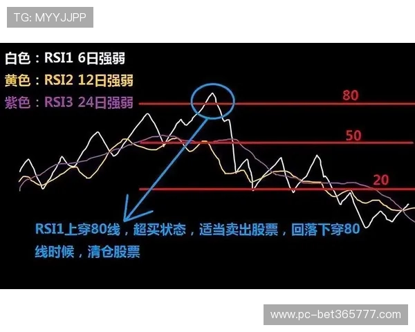 掌握365下注官网的赔率变化走势及投注技巧提升盈利空间